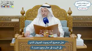 3260 - هل صحيح أنه يموت الحيوان الذي في البيت في حال وجود حسد؟ - عثمان الخميس