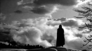 In California ~  Neko Case