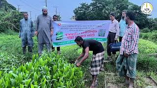 আকাশমনি ও ইউক্যালিপটাস এর বিস্তার রোধ।