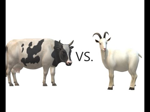 Cows versus Goats...What's the better investment?