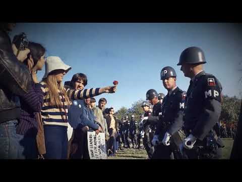 The Dark Side of Science: The Horrific Monkey Drug Experiment 1969 (Short Documentary)