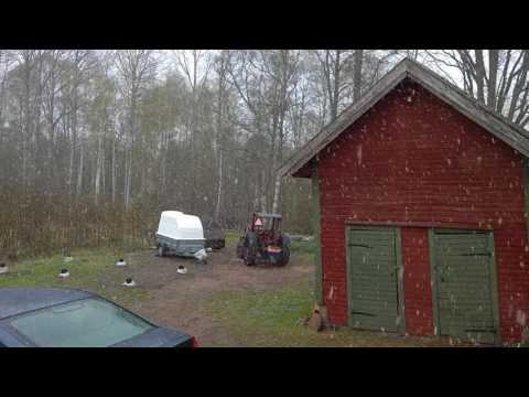 Kall vår 20170509 snöfall.
