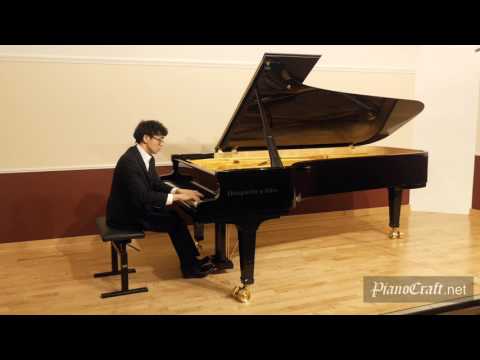 Franz Liszt Feux Follets Yunhan Gu pianist