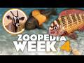 I M Feeling A Little Cich Lid Zoopedia Drop 4 Planet Zoo 2