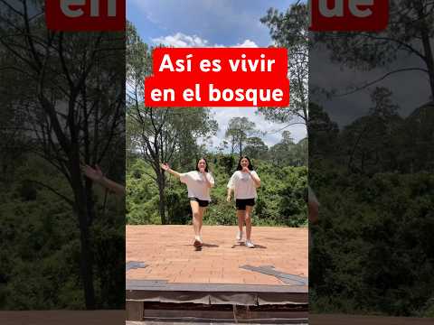 Así es vivir en el bosque, ¿te gustaría? 🌳