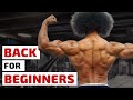 Back Workout for Beginners