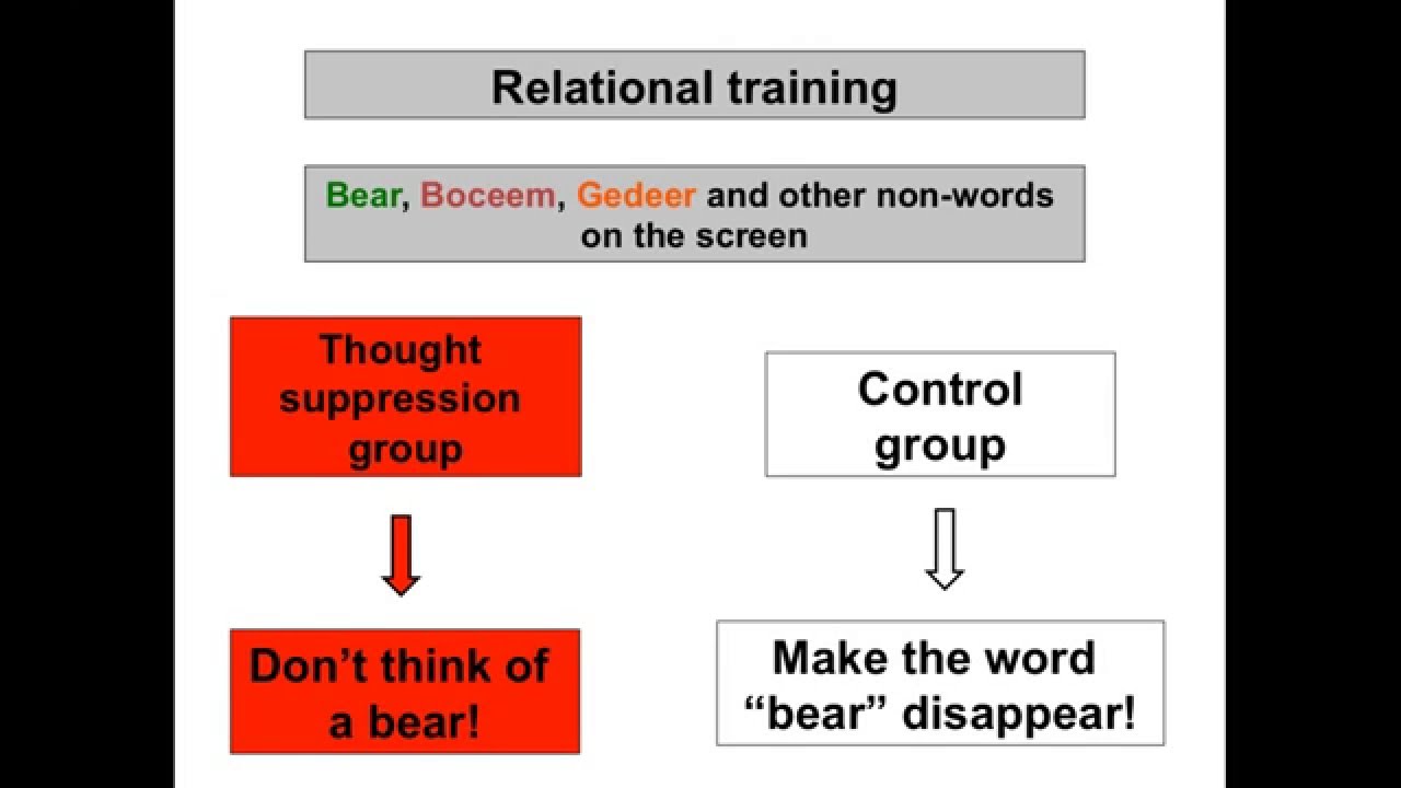 Language and Psychopathology: Fluency and Flexibility,  Experiential Avoidance, and Persistence.