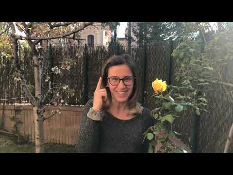 #SantJordiBegues des del Col·legi Sant Lluís