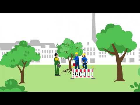 Bäume besser schützen - Erklärfilm Baumschutz