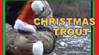 preview picture of video 'CHRISTMAS  Day  TROUT FISHING'