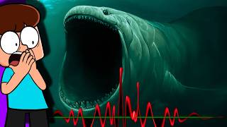 The TRUE story of THE BLOOP!