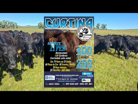 Remata Ernesto Esteves y Cia - Local Curtina Tacuarembó- 11 de Febrero de 2026