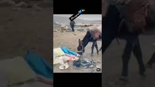 كلشي ضدي يما كلاو جلدي ههههه لبنج