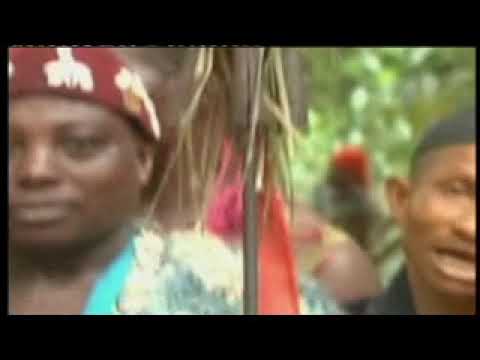 Evil Forest Ajohia - Vol 3 (Official Video)