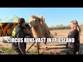 Circus Renz zit vast in Friesland en dieren verhongeren