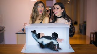 WHAT&#39;S IN THE BOX CHALLENGE (FREAK OUT) with Azzyland!