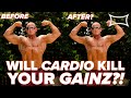 Will CARDIO KILL YOUR GAINZ? | WHY You Might Be Doing CARDIO WRONG!! Ft. James Fitzgerald