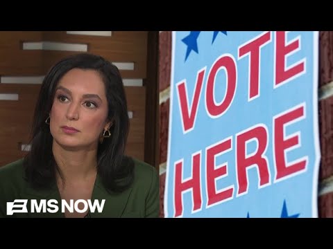 ‘Devious… doesn’t even go far enough’: Lawyer on Trump’s new mail-in voting rules