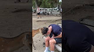 Politeness Taken Too Far in Japan 🦌