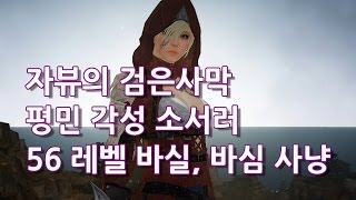 노비 56렙 각성 소서 바실, 바심 사냥 영상