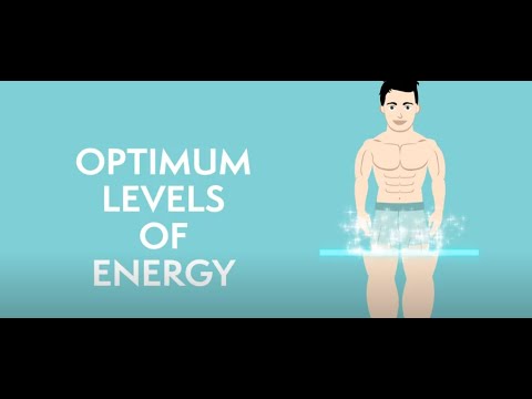 Niacinamide/Nicotinamide, NR, NMN, or NAD, which one should you take? Confused? Here is the answer