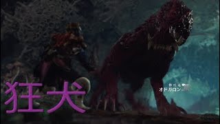 初歩的ミスで、何度もピンチになる男【MHW実況】part 14