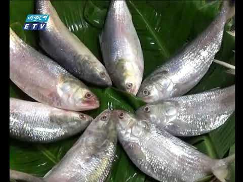 বেলা ১১টার সংবাদ। ১৩ এপ্রিল ২০১৮