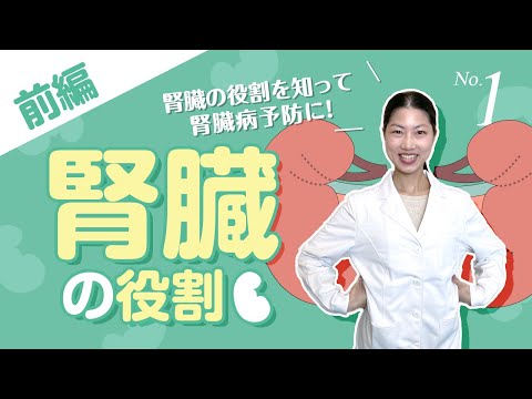 フォリドータについて詳しく解説