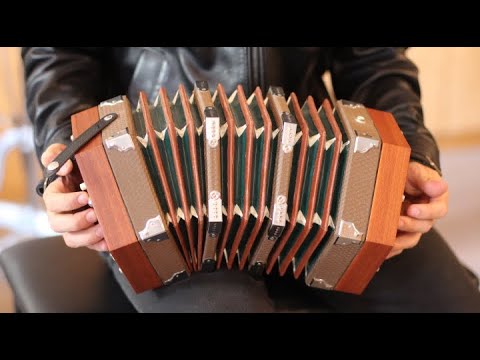 Is This the World's Worst Instrument? (Hohner Concertina) Review