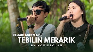 Download lagu LATEST!!! SPECIAL RELEASE OF TEBILIN MERARIK COVER OJAN SULING & NOVIE VERSION DISYA MUSIK mp3