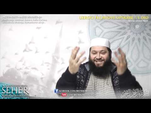 Uzroci Allahove opskrbe  1. dio - prof. Nihad Džihić