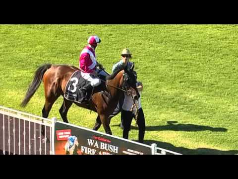 Ascot, 06/02/2016 - Race 6 - REGAL COMMANDER - Mr Bob Peters & William Pike