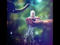 Om Namah Shivaya Om Namah Shivaya Status Om Namah Shivay Whatapp Status Video