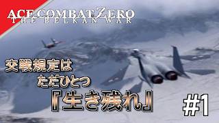 [実況]【ace combat zero】究極の戦線を生き残れ #1
