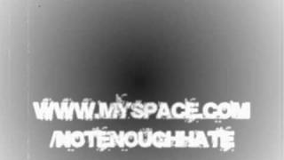 NOT ENOUGH HATE - Strive to survive.wmv