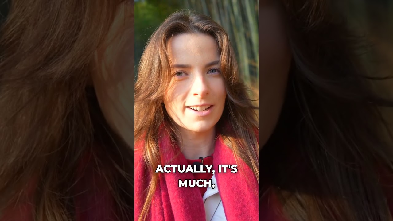 The Bamboo Forest has a Secret Section Nobody Knows