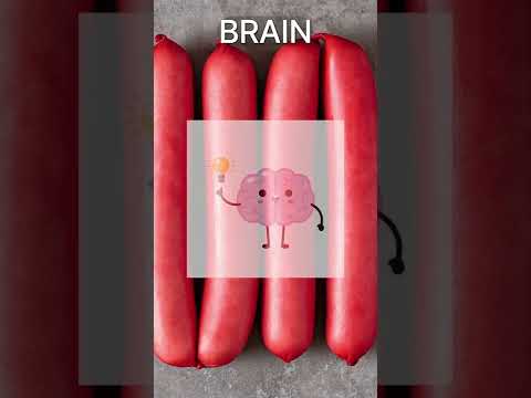 Evolution of sausage pt. 3 (feat. Dinokit)