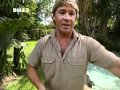 Crocodile Hunter Mein Tagebuch 1 4