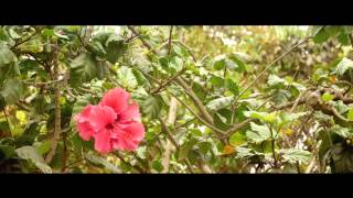 Venti Grupo Inmobiliario: Proyecto Castellana 266. Teléfonos 989150170 / 987207456