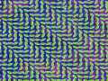 Animal Collective - Lion in a coma