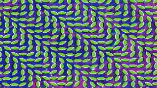 Animal Collective - Lion in a coma