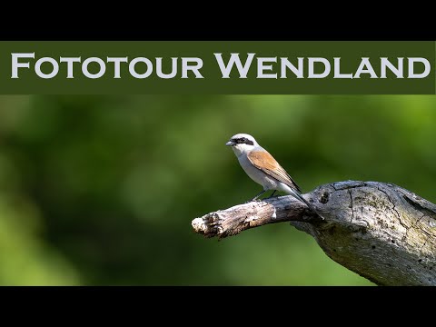 Fototour ins Wendland