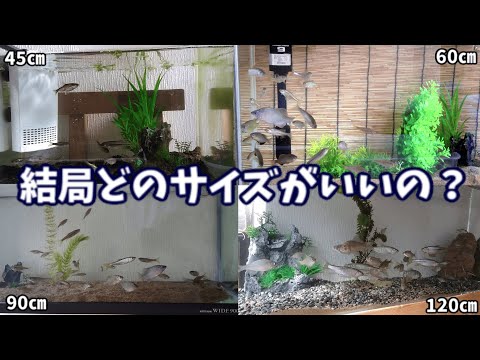 園芸 樹液ポンプのサイズ縮小