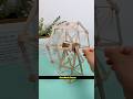 Ice Cream Stick Se Bnaye Ferris WHEELS Lifehack Tricks Viralvideo Icecreamstick