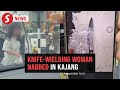 Knife Wielding Woman Who Attacked Bystanders In Kajang Arrested