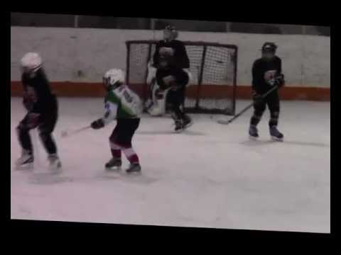 Veszprémi Jéglovagok