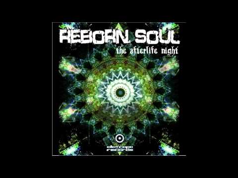 Reborn Soul - Wormhole