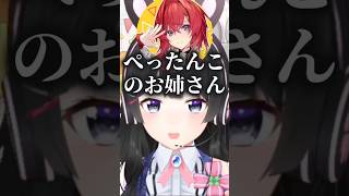 しんちゃんにお姉さん判定されるライバーを考える月ノ美兎【にじさんじ切り抜き】