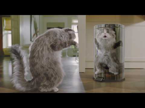 Девять жизней - Trailer