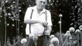 5 Poems by Charles Bukowski